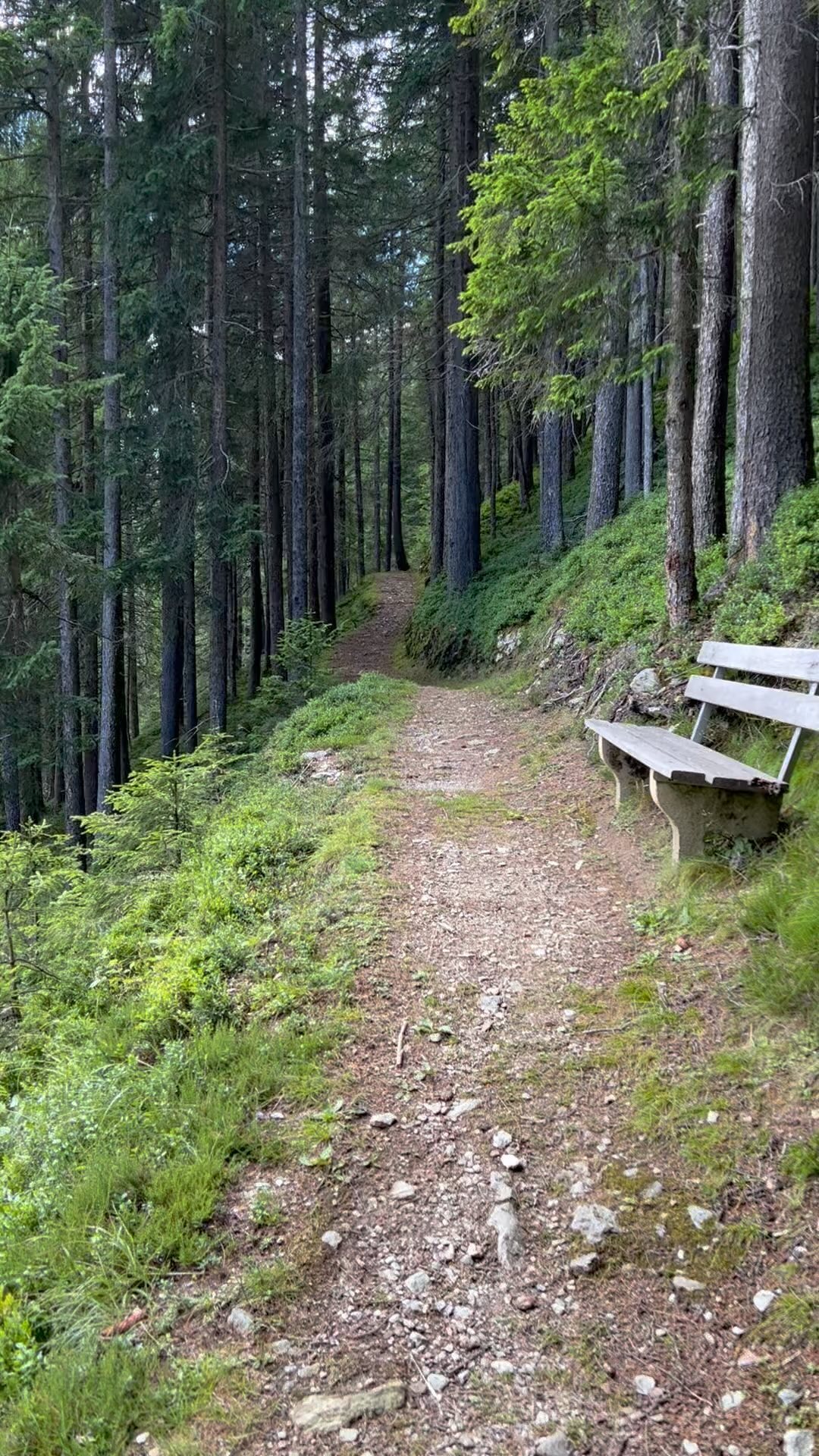 Family time mit Zachling- (Pfifferlinge) und Moosbeeren- (Heidelbeeren) Suche.
•
#zillertal #finkenberg #heimat #hausberg #grünberg #tyrol #tirol