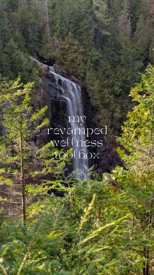 hear me out 👇🏼 🌿
why would you reach for little manmade stoppers when God made plants to do the same job (&better?) *not a doc, not med advice*
here's how my health reaches have changed in the last year + a half--
- digize > food's not sitting well : YL's powerhouse digestive blend ! I put a drop on my finger on my belly button when I'm feeling gassy after eating something that doesn't sit right, but you can also ingest a drop or 2 in a shot of water, kinda ick but it gets the job DONE. (free on orders of 100pv in nov, just sayin') !!
- peppermint > head tension : "University of Kiel researchers found that peppermint lessened headache pain in a double blind, placebo-controlled, cross-over study" (essential oils desk reference, 7th edition, p121). enough said.
- thieves > seasonal ick : here's the thing-- I rarely get sick anymore since my nontox journey + I get sneezed on by 6yr olds all day. I believe thieves plays a HUGE part in that. I put thieves in my water bottle every day to proactively keep ickies away. ✨BUT when I feel something coming on, I drink a few drops of thieves + lemon essential oils in elderberry tea, and I've straight up kicked colds before they come on.
- tea tree > skin topicals : in my experience, tea tree has helped combat warts on my hands. also helped a lot with fighting toe nail fungus. apply topically, do not ingest.
- pro plus + dragontime : period cramping is pretty much a thing of the past for me due to my lifestyle changes, but these are the two that my community regularly reaches for when they're getting hit by their cycle. apply topically on inner arms, thighs, or ankles. also could apply directly on the lower abdomen.
- copaiba > inflammation-based aches : heard stories about copaiba easing flare-ups in muscles and joints + can't wait to experience it for myself. apply topically.
- panaway > muscle soreness : same concept, just plants to soothe achy muscles. apply topically.
SAVE FOR LATER, comment "swap" for recs, + be my bestie @seedthyme where we chat about nontox living + plants all👏🏼the👏🏼 time👏🏼
11.16.24