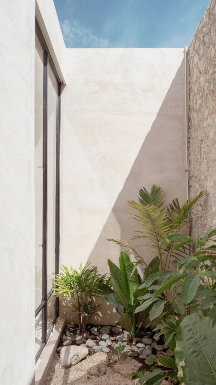 Casa Patricio February - Shades & greenery