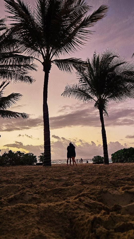 Playa Del Carmen, Mexico with some of the best 🌴💛
#Mexico #MandM2024 #destinationwedding #Mexicotravels