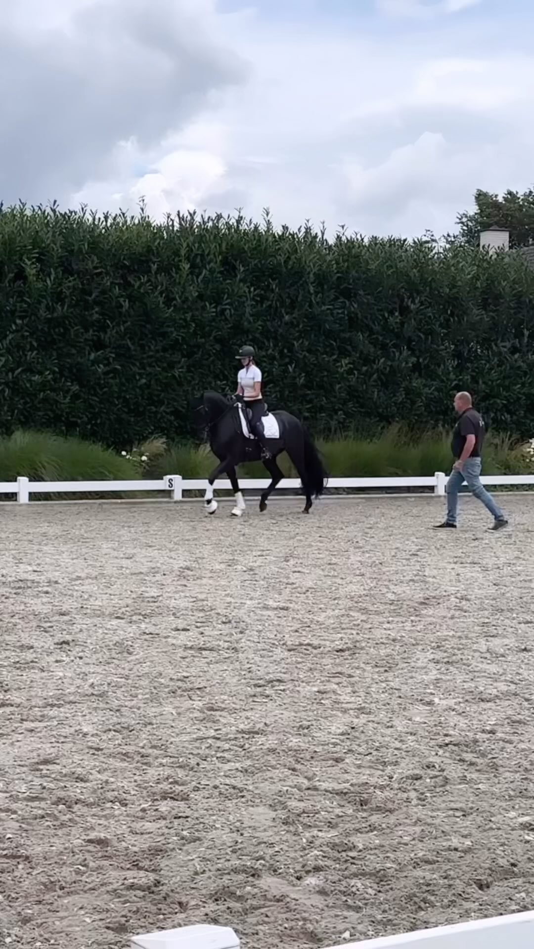 First time training on a different location with this 3yo Rolex
✨Totilas x Lord leatherdale
He has an incredible will to work for his rider!❤️
Looking forward to compete him soon🤩
@diederik_wigmans & @krista_dth
