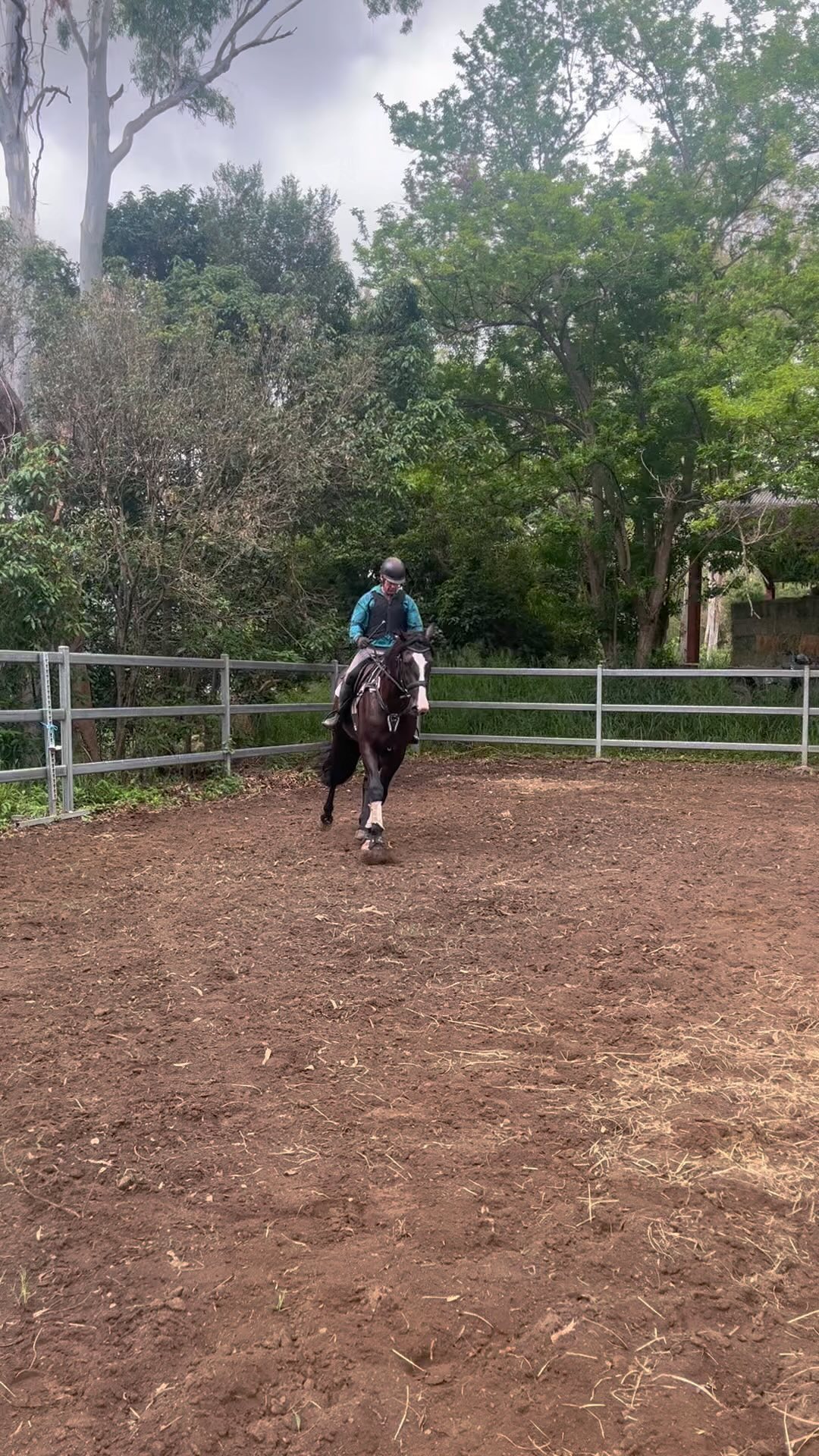 Our young Irish Draught stallion Tiernan Ri learning to work in our very small yard as the arena is out of action. Such a good boy☘️