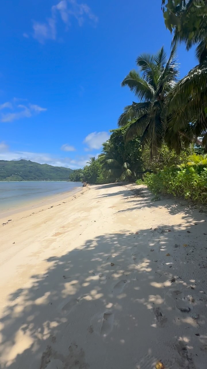 Pineapple Beach morning stroll. Perfect holiday morning ritual
π π ποΈ
#seychelles #tropicalholiday #travel