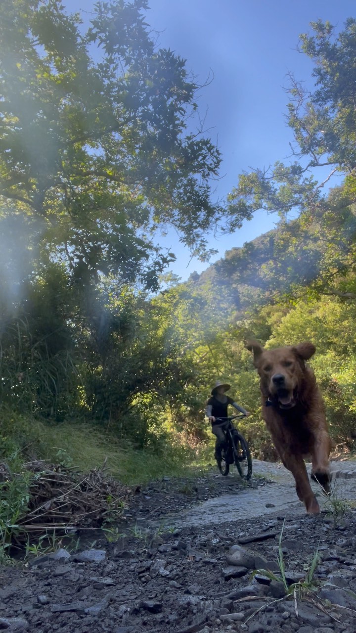 Feels like summer
.
.
.
.
.
#packwalks #packwalk #dogwalker #dog #dogwalking #dogwalkerlife #dogwalkersofinstagram #dogwalkerslife #dogwalkers #dogs #doglover #hikingla #lahiking #hiking #dogsofinstagram