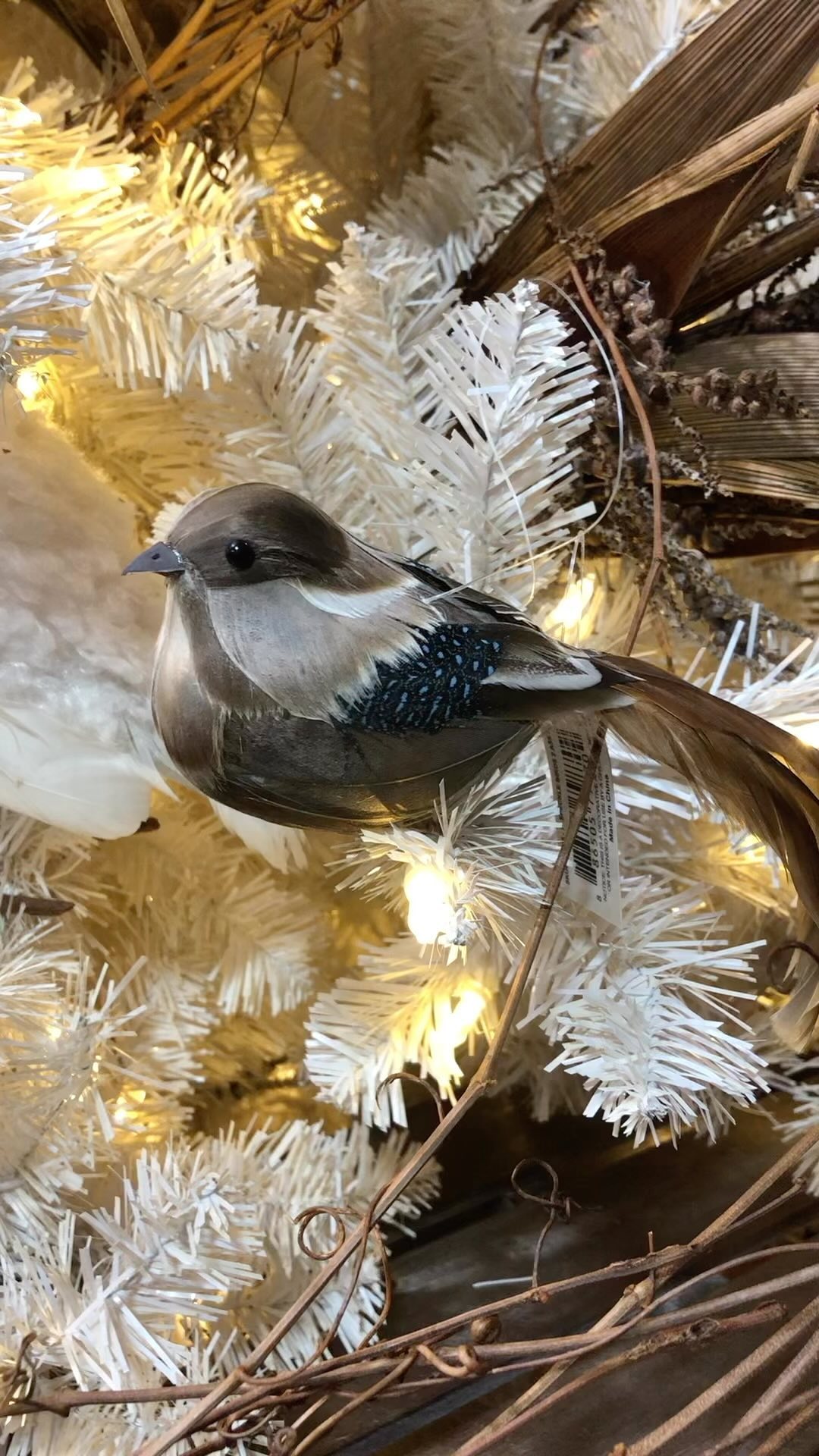 We’re gearing up for Fall 🍂