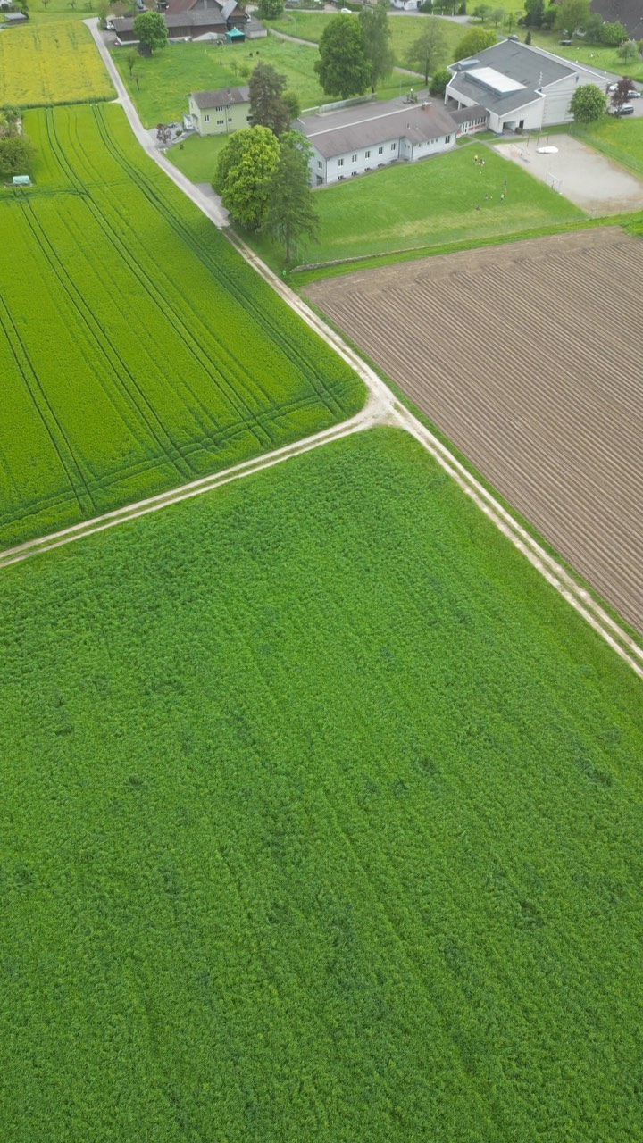 #OSF2025
#OSF
#Oberaargauischesschwingfest2025
#Schwingfestinkwil
#Schwingen
#Inkwil
#Schwingklubherzogenbuchsee
#Teambuchsi
#Tvinkwil