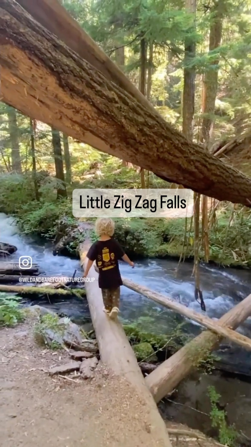 📍 Little Zig Zag Falls
Learning Topics: waterfalls, edible plants, trees
Risks: fast moving cold water
Description: Perfect beginner trail for young kids or beginner hikers! The parking lot has ample parking space, a port-o-potty, and some cell service. The 1 mile round trip trail begins past the bridge that spans the Little Zig Zag River. There are picnic benches near the river and huckleberries in late summer. The terrain is mostly flat and easy for young hikers. Cross a small footbridge and there is a small uphill portion before you arrive at the waterfall. There is a bench where you can rest and enjoy the falls.
Check out www.wildandbarefootadventures.com is the full write up with details for this adventure!
#wildandbarefootadventures #littlezigzagfalls #mounthoodwilderness #easyhike #littlezigzagriver #adventurefamily #chasingwaterfalls #seekadventure #getoutside #dohardthings #explore #wonder #wander #huckleberries #exploreoregon #familyfriendlyhikes #hikingwithkids #placebasedlearning #outdoorclassroom