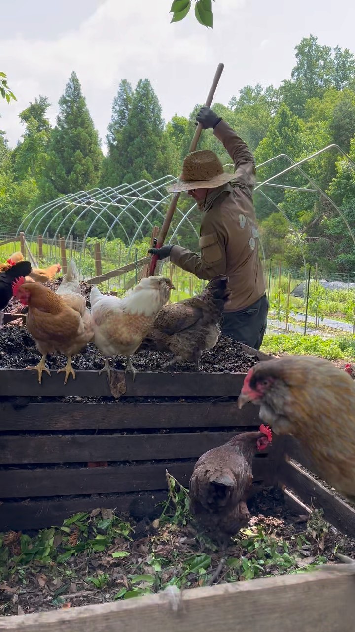 If you turn it, they will come. 🐓