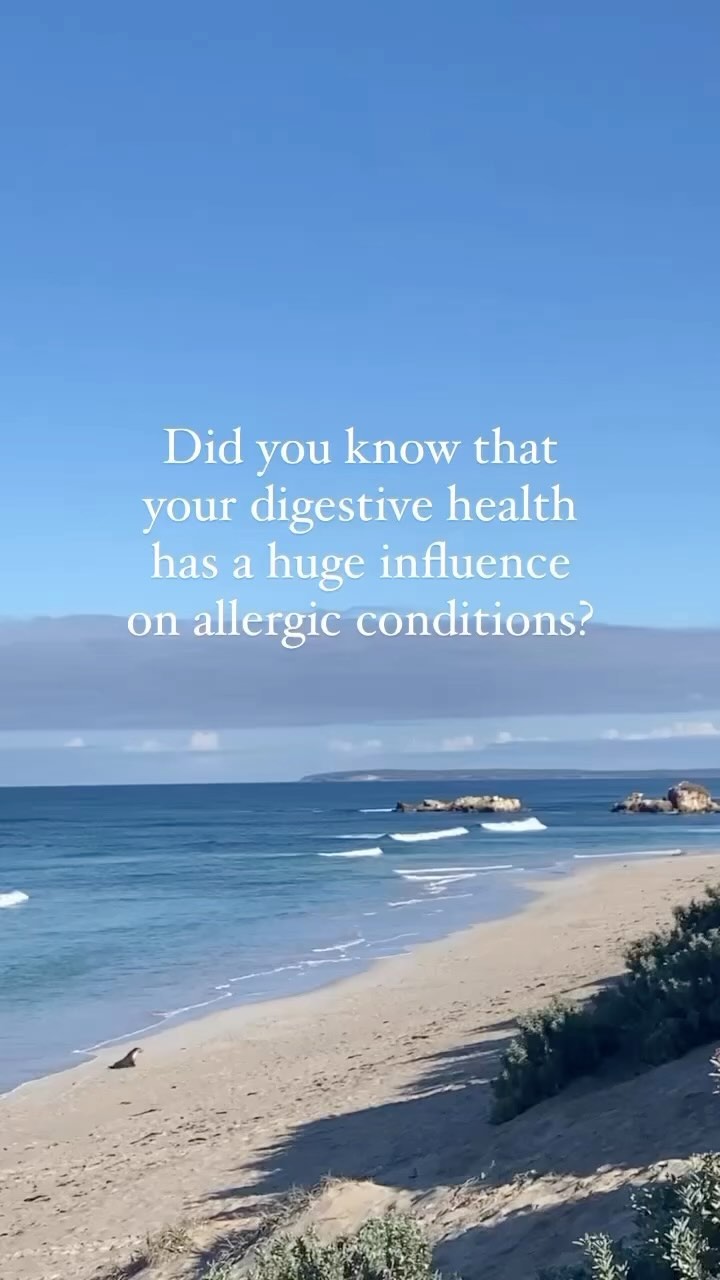 Healing the skin starts from within.
LINK IN BIO - GUT RESTORE PACKAGE
#gutskinaxis #guthealth #allergies #eczema #dermatitis #skinhealth #hayfever #guthealing #leakygut #microbiomemapping
