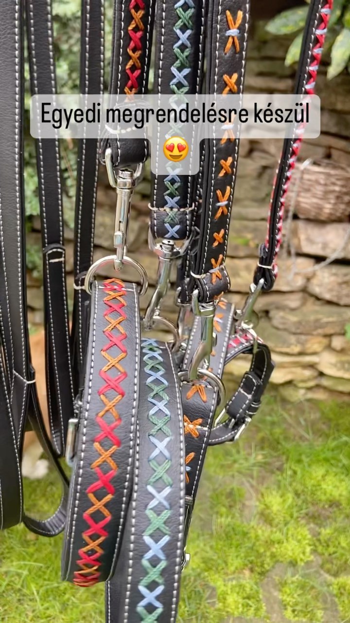 Kutya nyakörv és póráz
#egyedimegrendelésre #kutyanyakörv #póráz #bőrdíszműves #uniqueleatherworkshungary #kézzelkészített #minőség #bérmunka