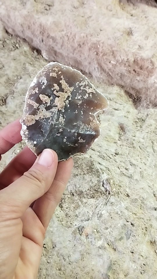 And another beautiful Levallois flake ✨
.
.
.
#lithics
#archaeology
#prehistory