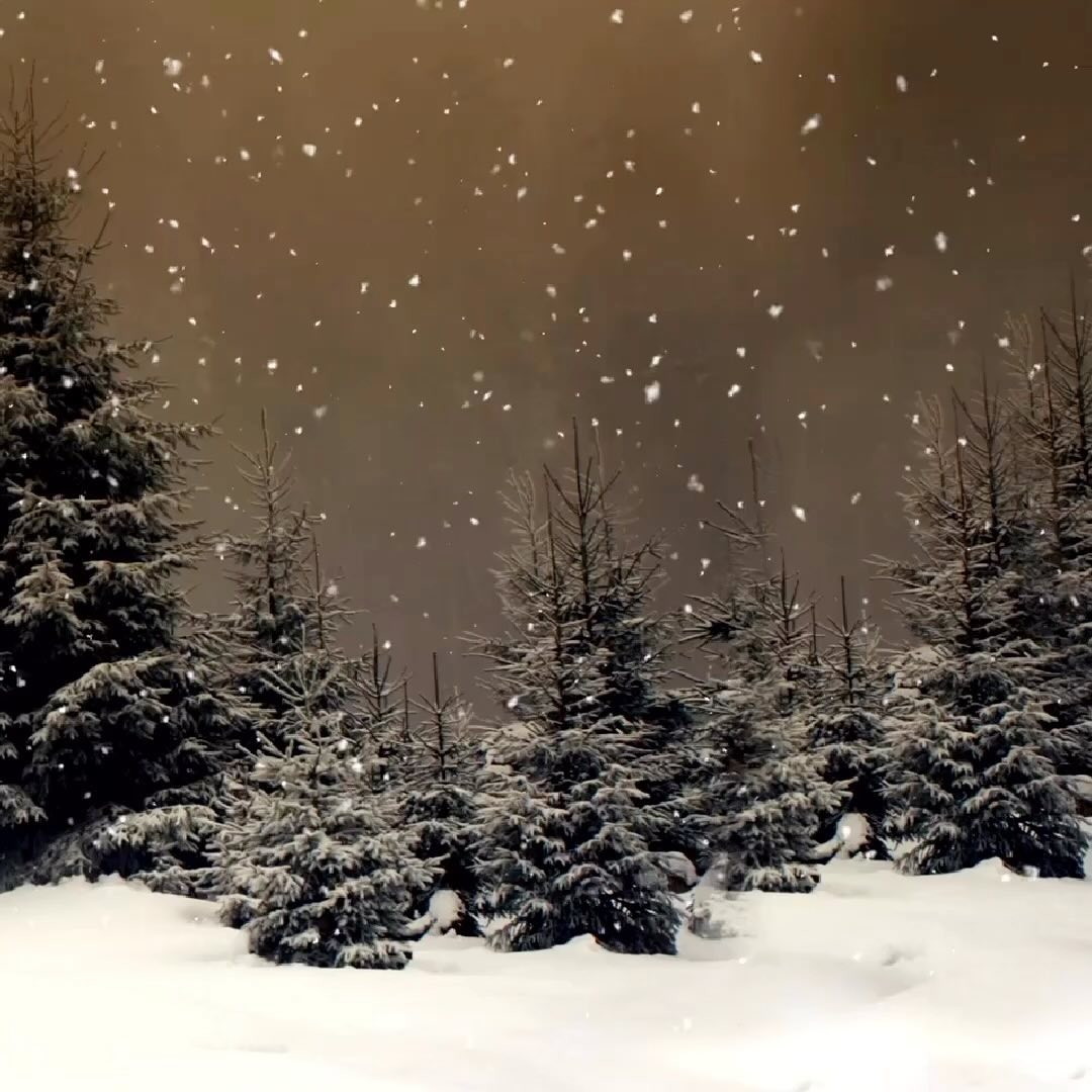 Merry Christmas to you and yours! #gfwcplantcityjuniors #gfwcplantcityjuniorwomansclub #plantcity