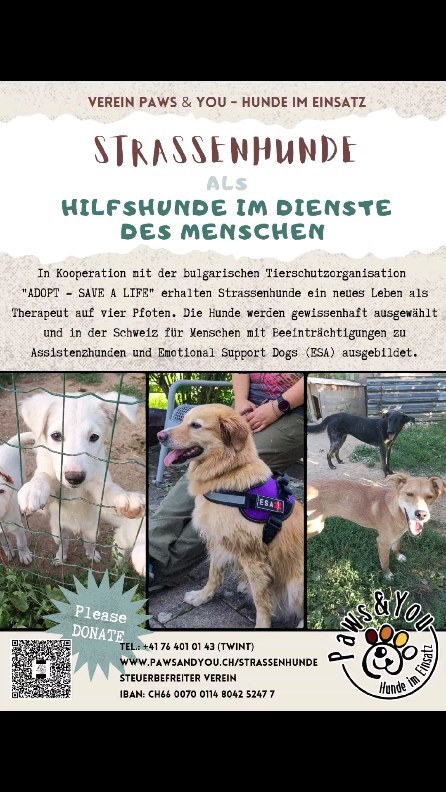 www.pawsandyou.ch/strassenhunde
#adoptsavealife #adoptfrombulgaria
#bulgaria #rescue #strassenhunde #strassenhundebulgarien #emotionalsupportdog #emotionalsupportanimal #assistenzhundeverein #assistenzhunde #assistancedog #bulgarien #tierschutz #tierhilfe