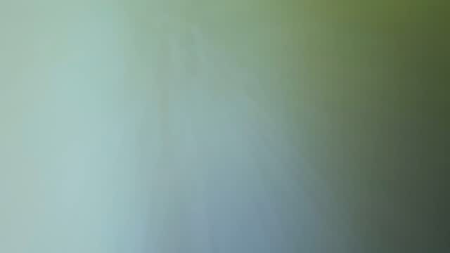 Comedor interior del Bravo.