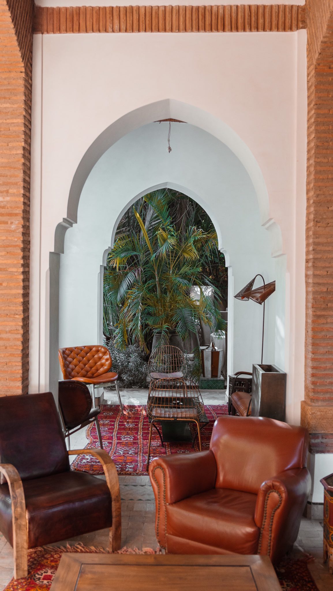 Scenes from our hotel, with a special guest appearance. 🐱
#minttea #moroccantea #hallwaydecor #hallwayinspo #riad #moroccanriad #riadmarrakech #riadlife #riadlovers #moroccandecor #moroccandesign #moroccanarchitecture #moroccanstyle #beautifulinteriors #visitmorocco #beautifulhotels #simplymorocco #moroccovacations #flowerlovers #fountain #visitmarrakech #bloomandgrow #beautifuldestinations #luxurytravel #luxuryhotel