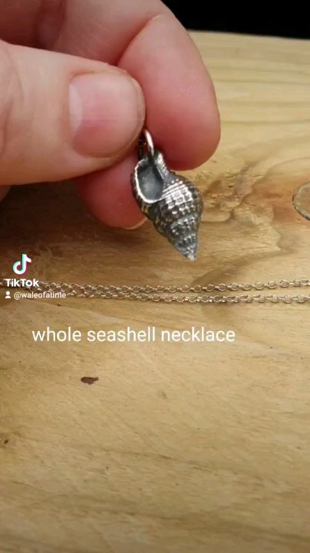 a beautiful whole seashell necklace - all the memories of the seaside!
Search WALEofaTIME on #etsy
#seashell #beach #beachuk #shell #seaside #nature #sea #silverjewellery #jewellery #necklace