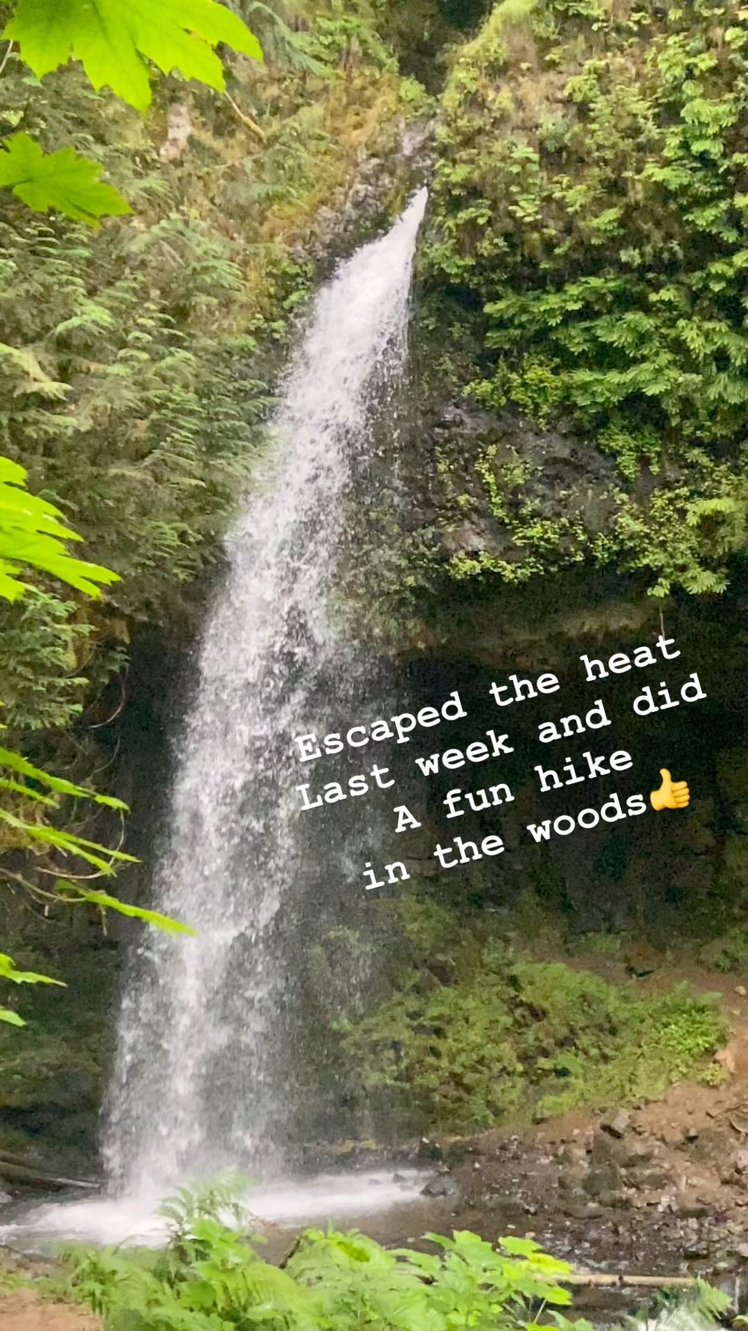 With the heat wave finally over the anted to share a nice little hike I went on to escape the heat! So great to be able to get out close to downtown and be in a place that is still cool and like a paradise from the #pnwheatwave 👍 Gotta live the #pnwwonderland
.
.
.
.
.
#summerhikes #hikingadventures #hikeyourownhike #hike4exercise #feelinghealthy #hike4health #chubbyguyhikes #pnwhiking #hikinginthepnw