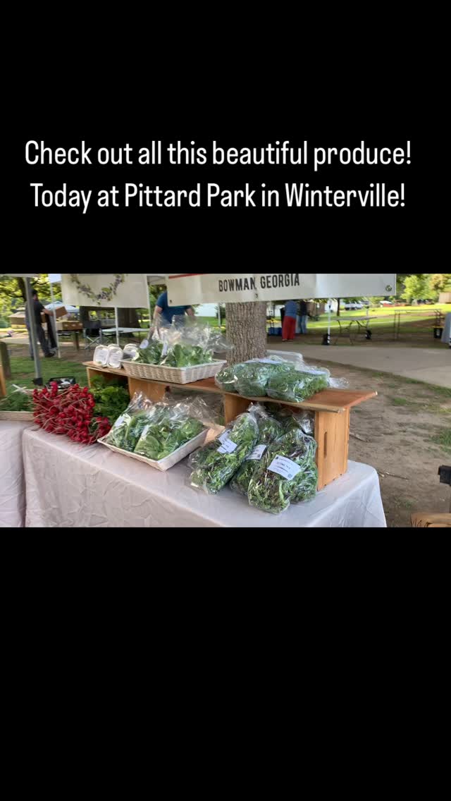 All your veg needs for the week are right here in Pittard Park! All of this abundance is grown locally. Come support your local farmers!