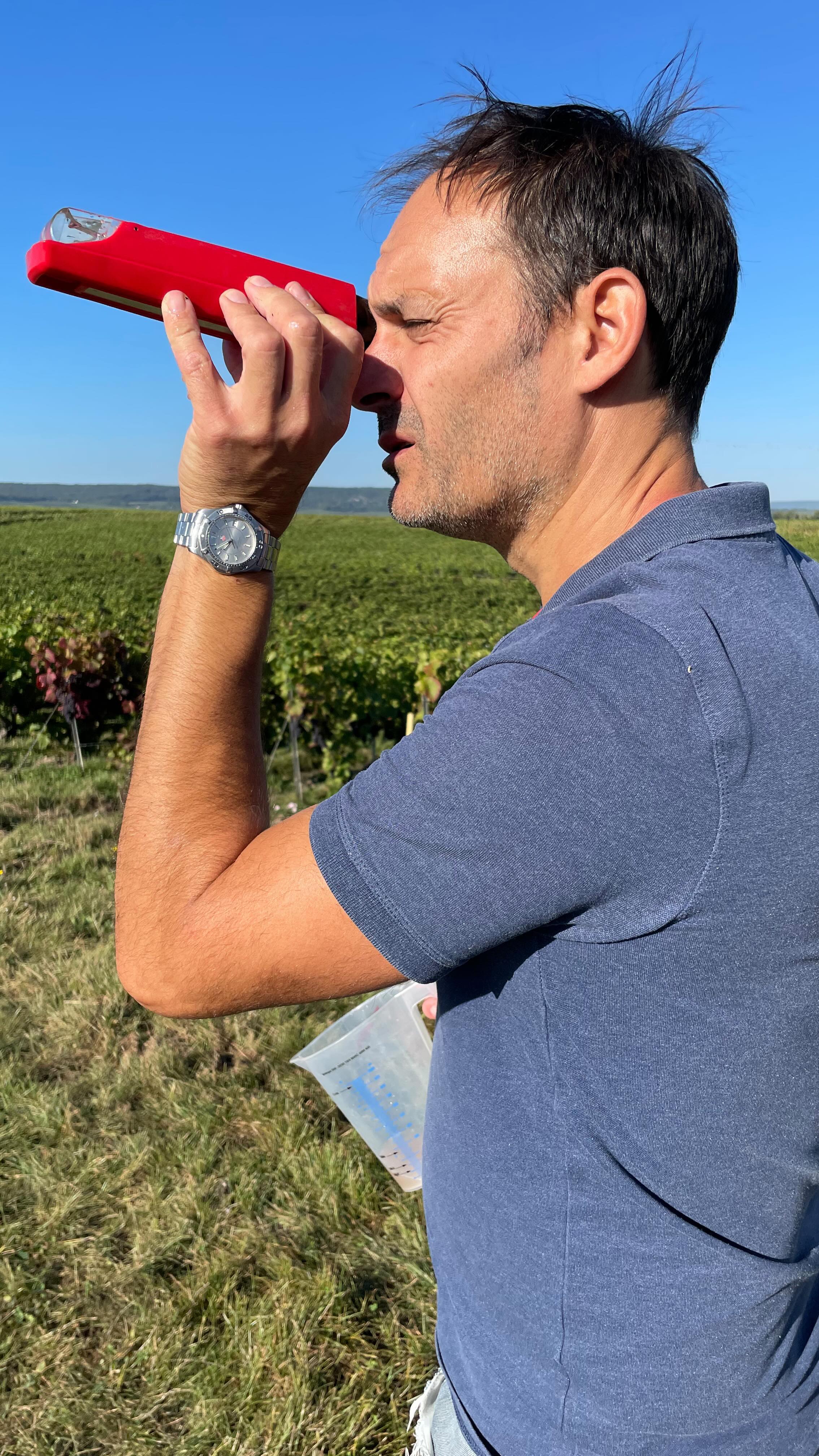 Derniers prélèvements avant d’attaquer notre vendange 2023 🍇😍
#vendange #champagne #grandcru #montagnedereims #champagnedevignerons