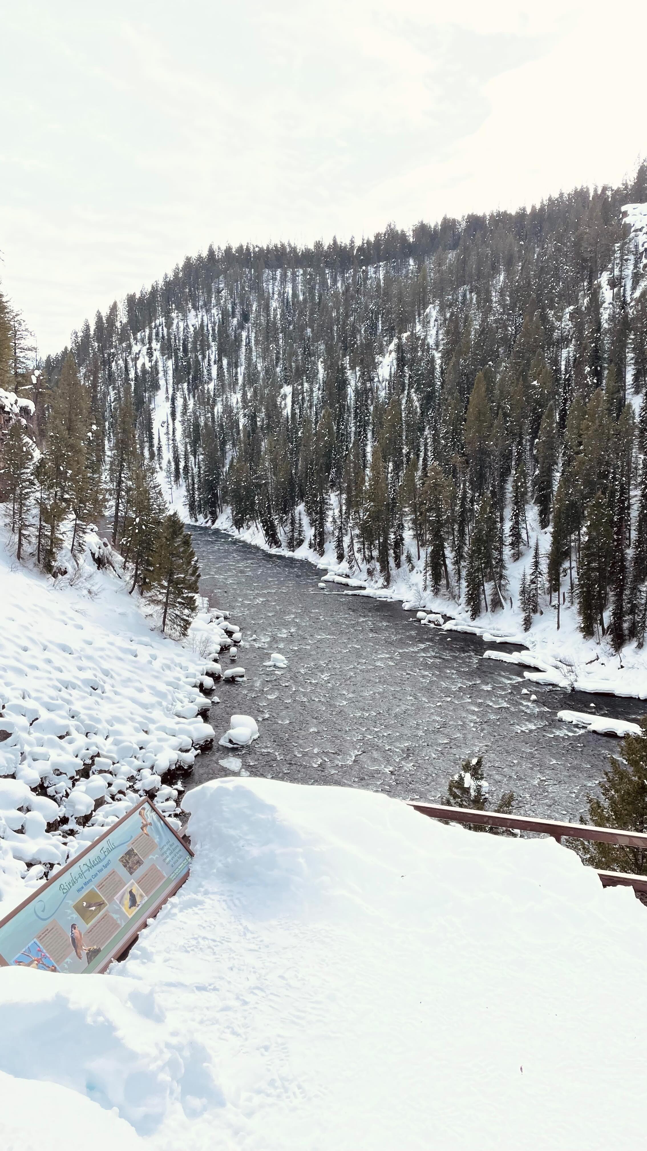 What a FULL February, And how I loved it so.