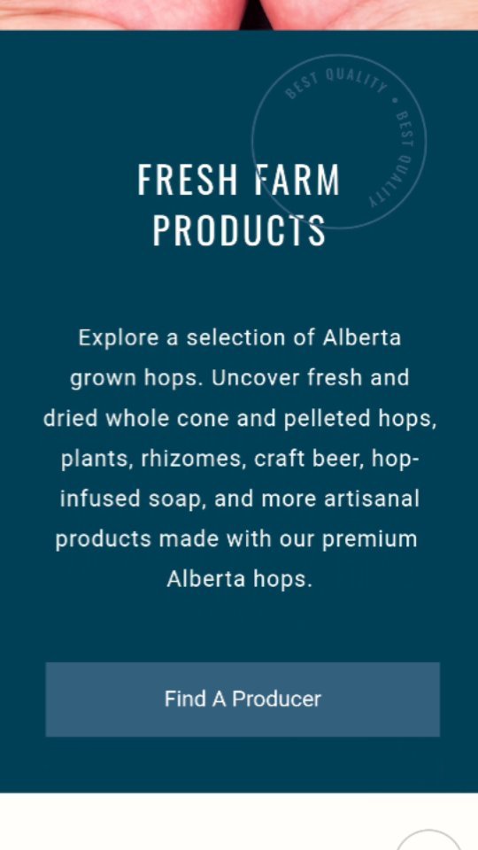 Launched! 🚀🚀
Here it is! Our new and updated association website. Full of all sorts of fun features including the fan favourite...a map!
Find your nearest hop farm and ask about Alberta grown hops!! The link is in our bio.
#tothemoon🚀 #nextlevel #albertahops #hops #craftbeer #albertabeer