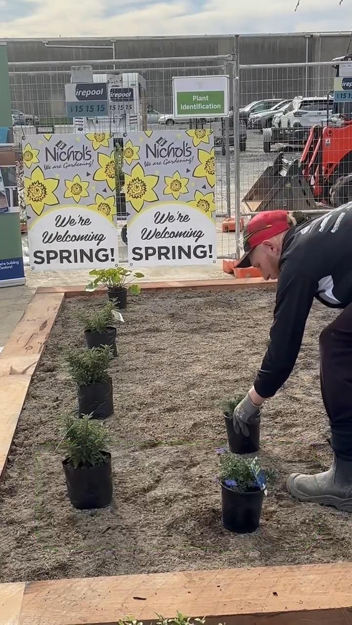 The dates and location for the 2024 Young Landscaper of the Year have been announced!
This year’s edition will be held at the Wellington Botanic Gardens on 21 September, followed by a Hall of Fame dinner event.
Here’s a little insight into what our contestants faced last year.
Click the link in bio for more event info!
#registeredmasterlandscapers #nzlandscapermag