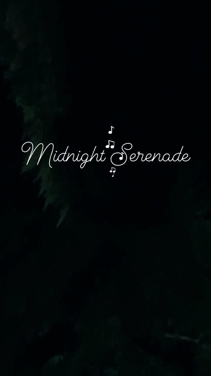 Midnight Serenade🎶 #birds #birdlovers #birds_captures #birdlife #birdingathome #birdsareawesome #birdcalls #backyardbirds #noctural #nightowl #birdfreaks #birdsinging #birdwatchers #serenade #birdsounds #birdtalk