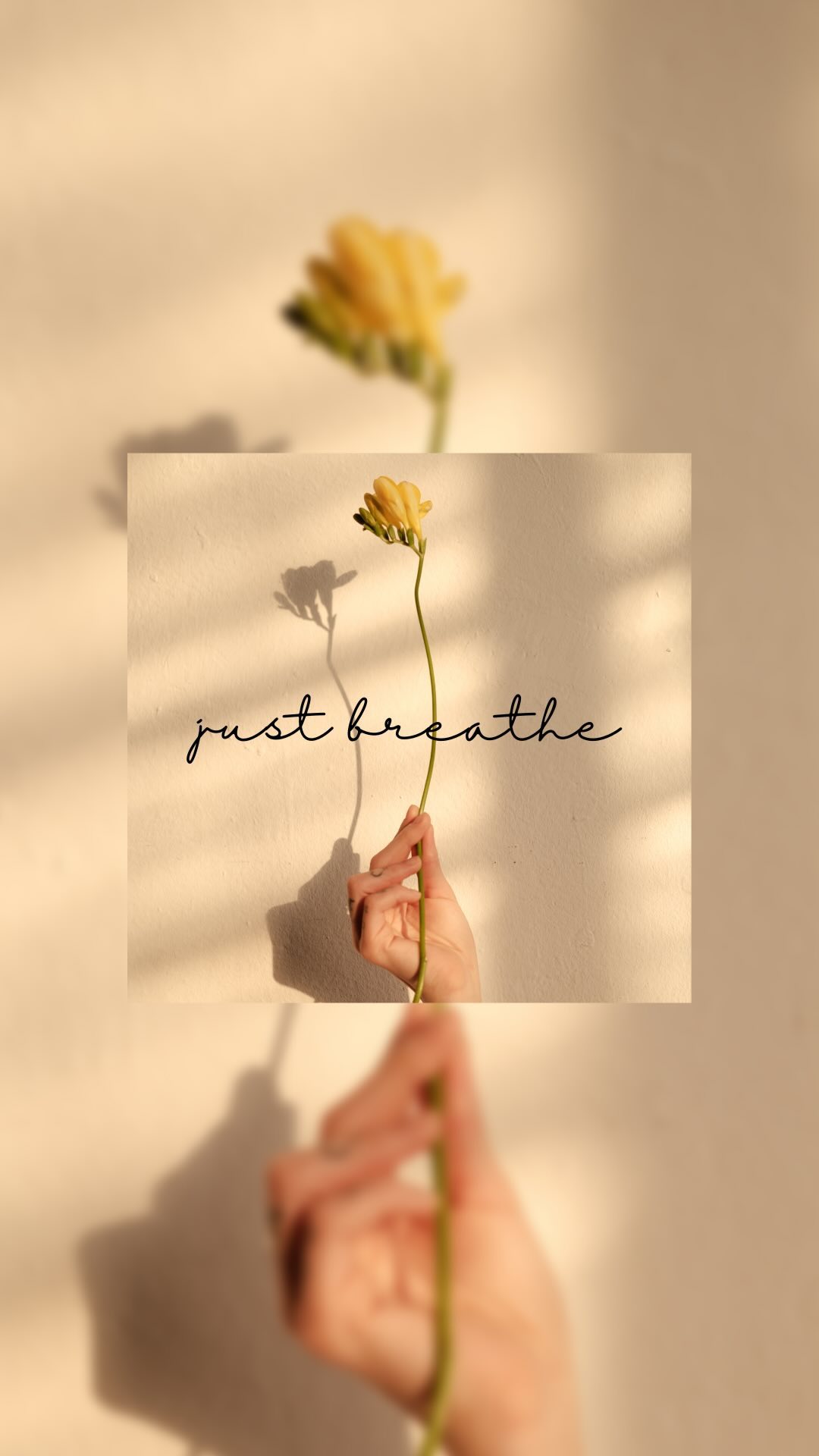 🌈Caring for your health doesn’t have to be complicated.
Something as simple as slowing down and taking 3 slow breaths before eating will activate the parasympathetic nervous system, allowing your body to focus its attention on digestion.
This means your food is more likely to be broken down, and a high chance of all of the necessary nutrients to be absorbed, supporting the health of your gut and various other organs.
So next time you sit down for a meal, don’t forget to breath and be present 🌬️
#digestion #restanddigest #nutrients #guthealth #guthealthmatters #guthealing #guthealthy #gutmicrobiome #parasympatheticnervoussystem #nervoussystemregulation #justbreathe #deepbreathing #deepbreath #deepbreathingexercises #calm #calmness #holistic #holistichealth #holistichealing #holisticliving #holisticnutrition #holisticnutritionist #bloomagain #bloomagainholistics