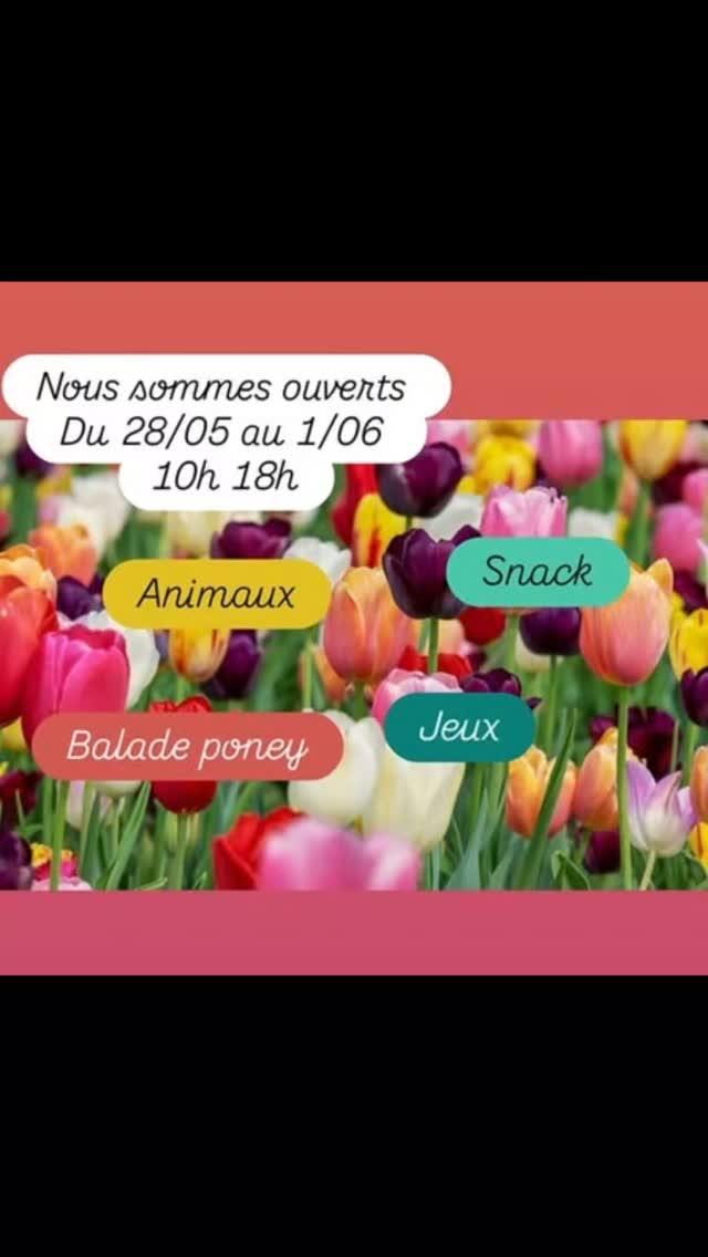 Nous sommes ouverts du mercredi 27 mai jusqu au dimanche 1 juin de 10h à 18h
Visite des animaux avec le nourrisage à 11h, 15h et 17h
Balade poney à partir de 3 ans
Snack salé sucré
Jeux