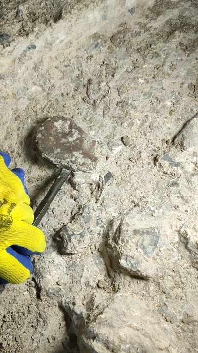 A perfect Levallois flake 🤩
.
.
.
.
#prehistory #excavation #archaeology #lithics