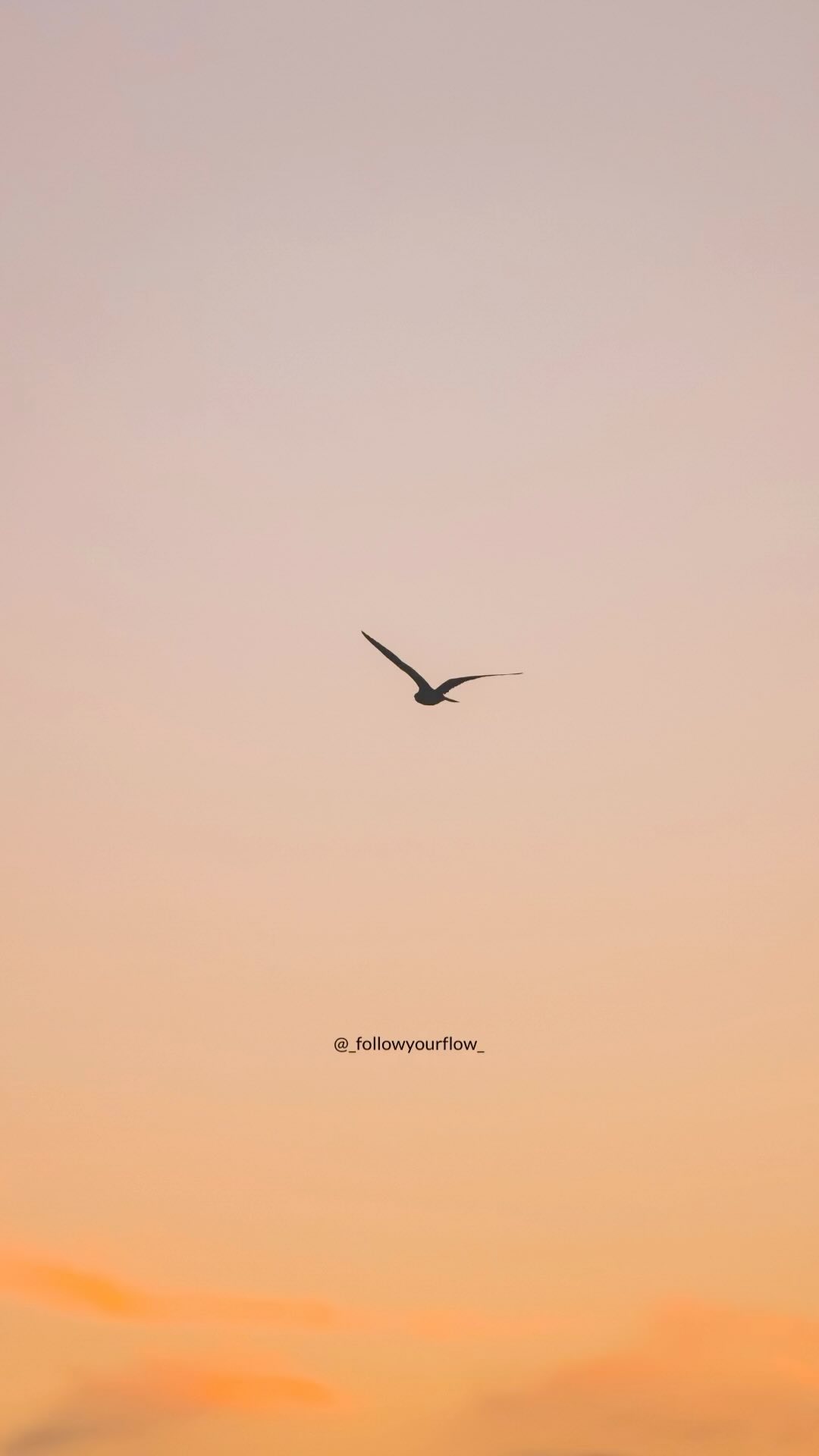 The simplicity of cycles…
Every year is a cycle, another trip around the sun and an opportunity to learn from the previous cycle/s. There are cycles everywhere – the monthly cycle of the moon, the daily cycle of the sun rising and falling, the cycle of the seasons, our own personal birthday cycle and countless more in the majesty of our surroundings in nature. Not to mention the cycles within our bodies, such as the cycle of hormone production, a woman’s monthly menstrual cycle, the cycle of skin cell regeneration and ALL cell regeneration, our respiration cycle of breathing in and out, the vascular system is most certainly a cycle – we literally cannot escape the fact of cycles. We are living in and with them constantly.
So therefore, it makes sense, that when looking at our health and wellbeing, that cycles really should be considered. Right?! It’s so obvious and so simple that perhaps that’s the problem, we very often totally miss the GOLD that is constantly on offer.
#followyourflow #periodproblems #periodpain #pcos #endometriosis #pms #pmsproblems #pmsrelief #stillness #yogaforwomen #womenshealth #ovulationmatters #menstruationmatters