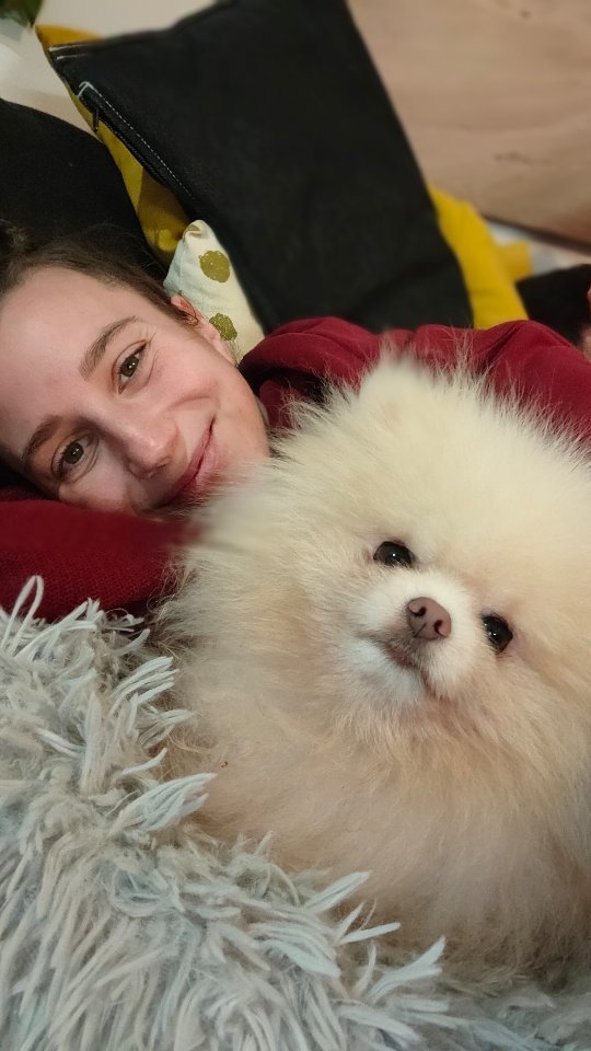 Mon p'tit Prout, celui qui, sans le savoir me permet au quotidien de faire face à la perte de Taïko qui m'était encore insurmontable avant son arrivée dans ma vie et qui était d'ailleurs la raison pour laquelle je ne voulais pas reprendre de chien depuis tout ce temps !
Notre rencontre s'est faite par le plus grand des hasards à la SPA grâce à Laura une super bénévole qui m'a proposé d'aller voir les p'tits nouveaux tout droit arrivés de la fourrière. Je ne serai pas l'expliquer mais quand je l'ai vu j'ai tout de suite voulu le ramener à la maison pour une nuit, enfin ça c'est ce que je croyais ! 🙈
Ni une ni deux on prépare tout le nécessaire pour que Prout vienne passer la nuit à la maison et 30 minutes plus tard les papiers pour le prendre en famille d'accueil étaient prêts et lui était déjà dans la voiture. Tout s'est fait de manière tellement inattendue que je n'ai même pas eu le temps de prévenir mon chéri qu'on allait avoir un invité pour la soirée 😆
Une fois à la maison il a pu prendre ses marques et au bout d'une heure mon chéri me dit déjà cette fameuse phrase : "tu sais si tu veux le garder ça ne me dérange pas" (oui oui je partage ma vie avec le meilleur humain sur terre🤍)
Je m'attache déjà beaucoup à ce p'tit cul jusqu'à me rendre à l'évidence qu'il ne retournera pas au refuge et qu'il a déjà trouvé sa famille définitive !
Vu son état je l'ai fait voir par mon vétérinaire puis par une ostéopathe (coucou @anima_osteo ) on me confirme qu'il a bien les deux rotules de luxée, une Alopécie X qui explique la non présence de poils sur une bonne partie de son corps et d'autres choses encore !
Prout vient d'un élevage à chier dans lequel il y a eu une réquisition et ou il n'a clairement pas pu bénéficier de tout le développement nécessaire au bon équilibre psychologique et au bon développement social aussi bien intra que inter spécifique, il a ensuite passé de long mois en fourrière avant d'arriver au refuge.
Après 2 mois à la maison il a déjà énormément progressé et on œuvre tous les deux au quotidien pour régler les différentes problématiques qu'on rencontre, la plus grosse étant l'anxiété de séparation qui nécessite beaucoup d'organisation🥴