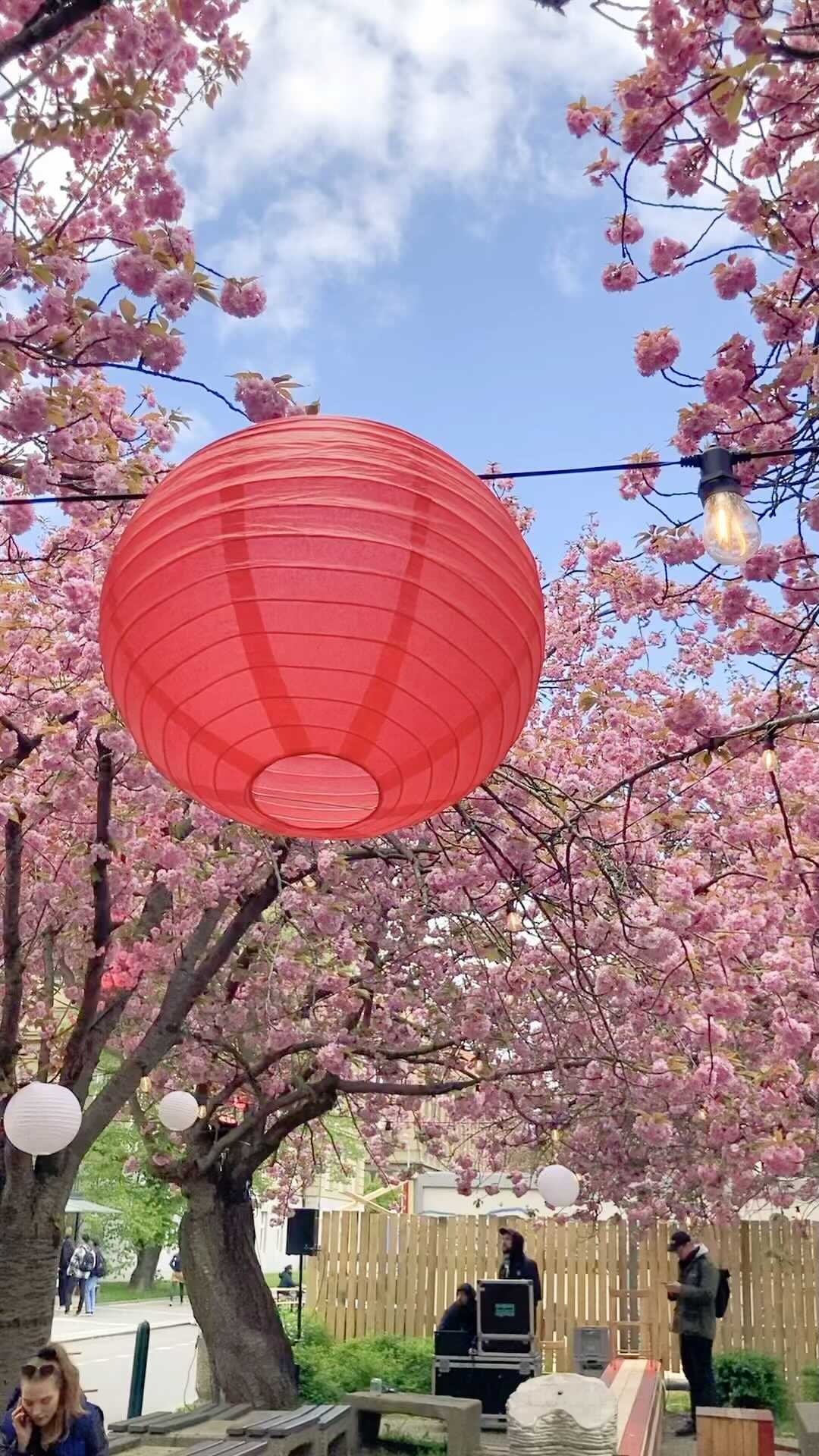 I letos jsme byli součástí japonského festivalu HANAMI a i tentokrát byl o hru go velký zájem! 🌸🌸 #gogame #promotion #hanami #playgo #japan #japaneseboardgame