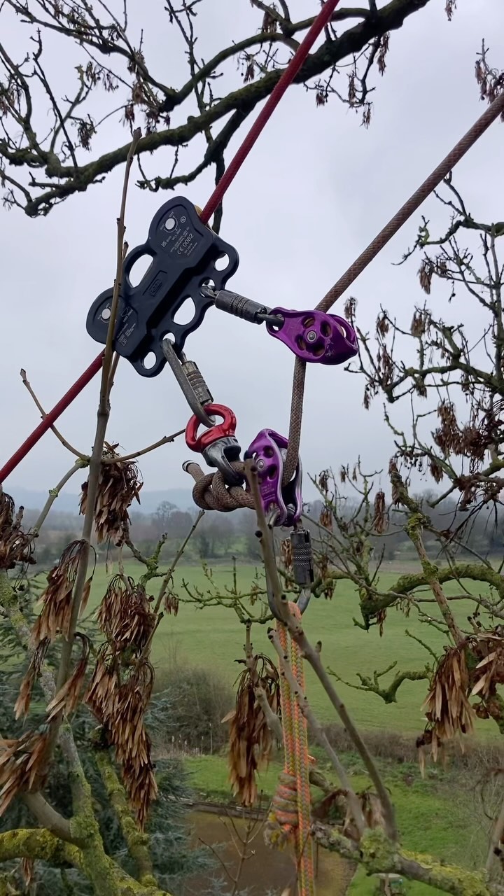 Utilising the #norweiganreeve to create a living Monolith of this mature Common Ash tree that had previous storm damage π³π¨
Once again the @petzl_official Reeve coming in to its own making a very tricky job a breeze with some careful planning and utlisation of the right rigging equipment π
#treerigging #treework #treesurgery #arborist #arboristsofinstagram #treesurgeon #subcontractor #worksmarternotharder #nextgeneration #ashdieback #ashdiebackawareness #monolith