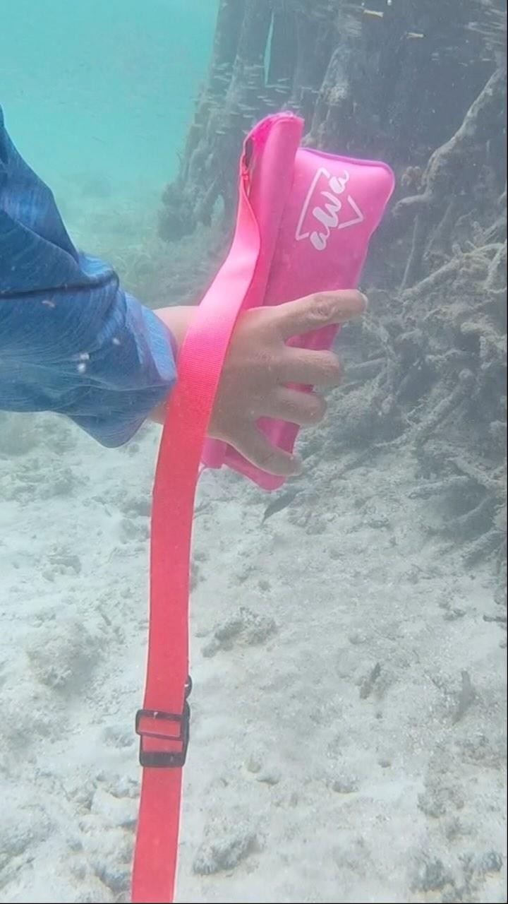 💦 ¡Para aventurar en el agua sin miedo! 🤳
🤿Conoce nuestra Awita Explorer. Diseñada para proteger tus articulos personales y pasarla bien en el agua. #mójatesinmiedo
.
🛒 Consíguela en nuestra página web: www.awaoutdoor.com