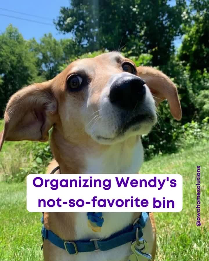 Organizing Wendy's Essentials 🏠🐾
As a professional home organizer, keeping everything in order is second nature to me.💁♀️
Take a look at how I've designed the perfect system for Wendy's medicine, grooming supplies, poop bags, and emergency kit. 🤩
Where do you keep your pet's stuff? In a designated closet? A box? Or are you currently looking for ways to get it organized? Let me know in the comments below! 💬
_____
#OrganizationExpert #PetWellness #HomeOrganization #OrganizedLiving #whorescuedwho #rescuedogmom #shelterdogs #shelterdogsofinstagram #rescuedogsofinstagram #dogmomsofinstagram #humanesociety #professionalorganizer #organizedhome #declutter #homeorganizer #personalorganizer #organizedliving #simplify #organizeyourlife #organizingtips #northernva #northernvirginia #fairfaxva #fairfaxcountyva #tysonscornerva #mosaicdistrict #oldtownalexandria #alexandriava