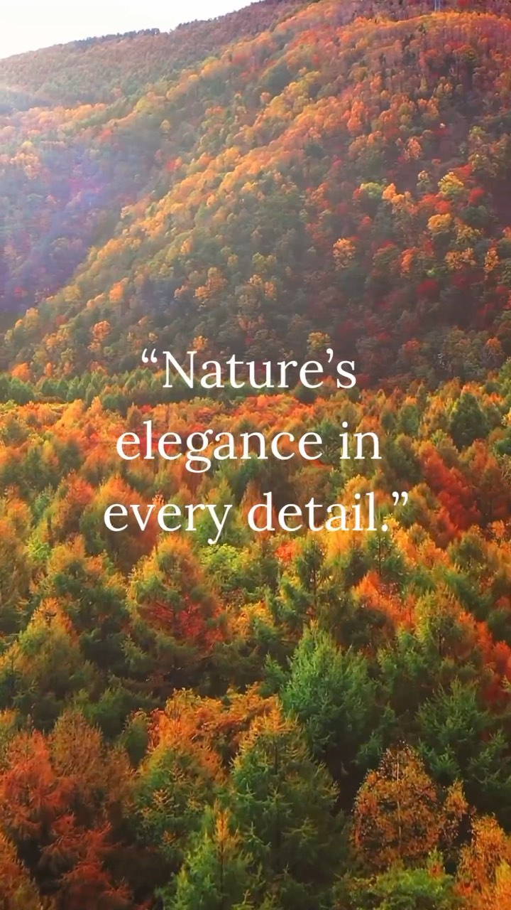 Montegro finds its inspiration in nature’s breathtaking beauty, reflecting it in every design. Each stitch, each color, is a tribute to the magnificence of nature. 🍂