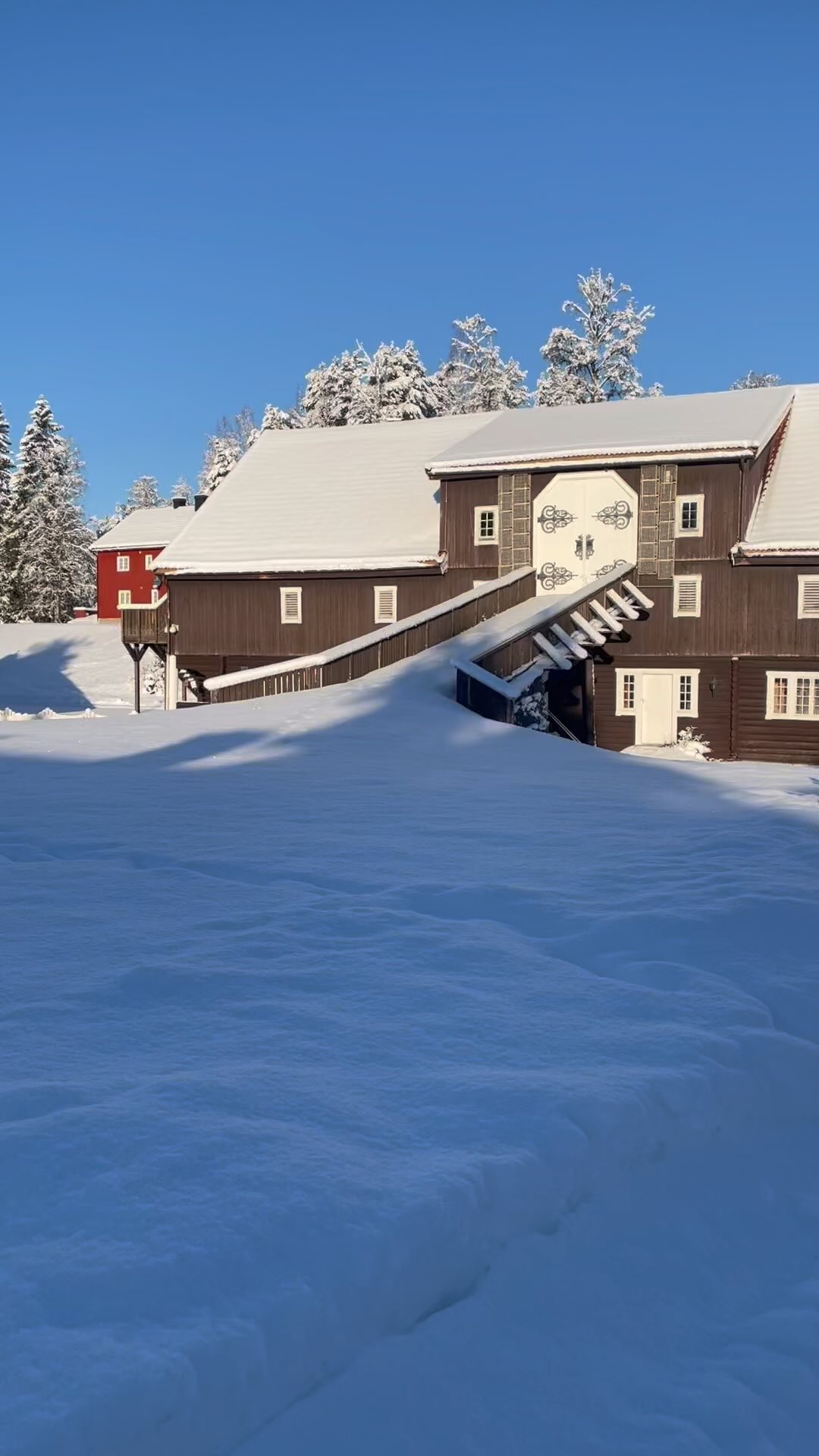 #viveoomsorg #care #health #love #norway www.viveo.no