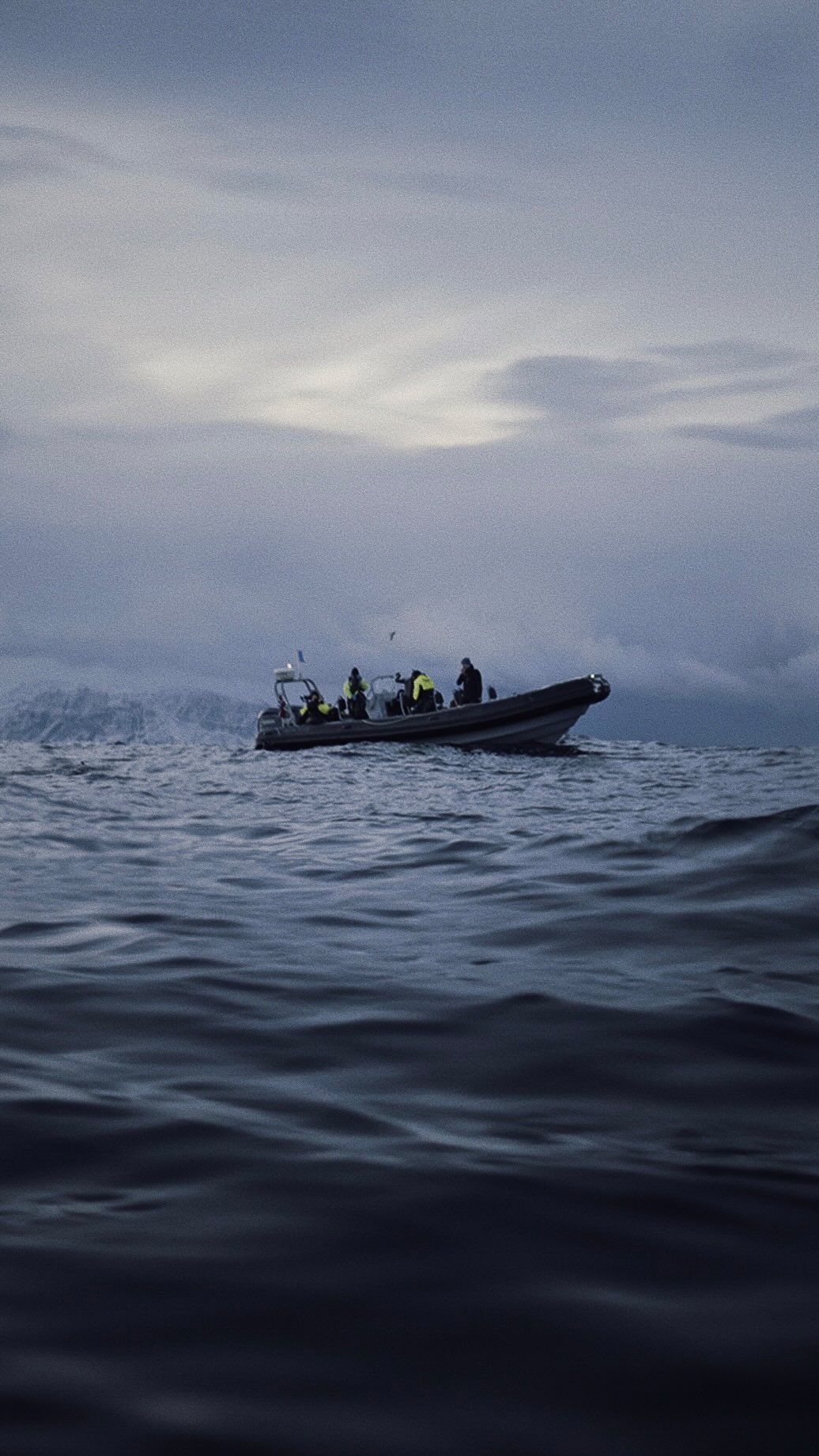 We’re thrilled to announce our project „QUIET DEPTHS“. Join us on November 30th as we unveil the beauty that lies beneath the surface of the Arctic Circle in Norway 🙌🌊✨ A big thank you to Valhalla Orca Expedition @valhallaorcaexpedition for the realisation of this trip and their amazing support.
#QuietDepths #patagonia #valhallaorcaexpedition #release #orcanorway #humpbackwhale #tromso #oceanconservation #explore #beautyofnature #seacam #blackcorridor #blackcorridorfilm #nikhollywood