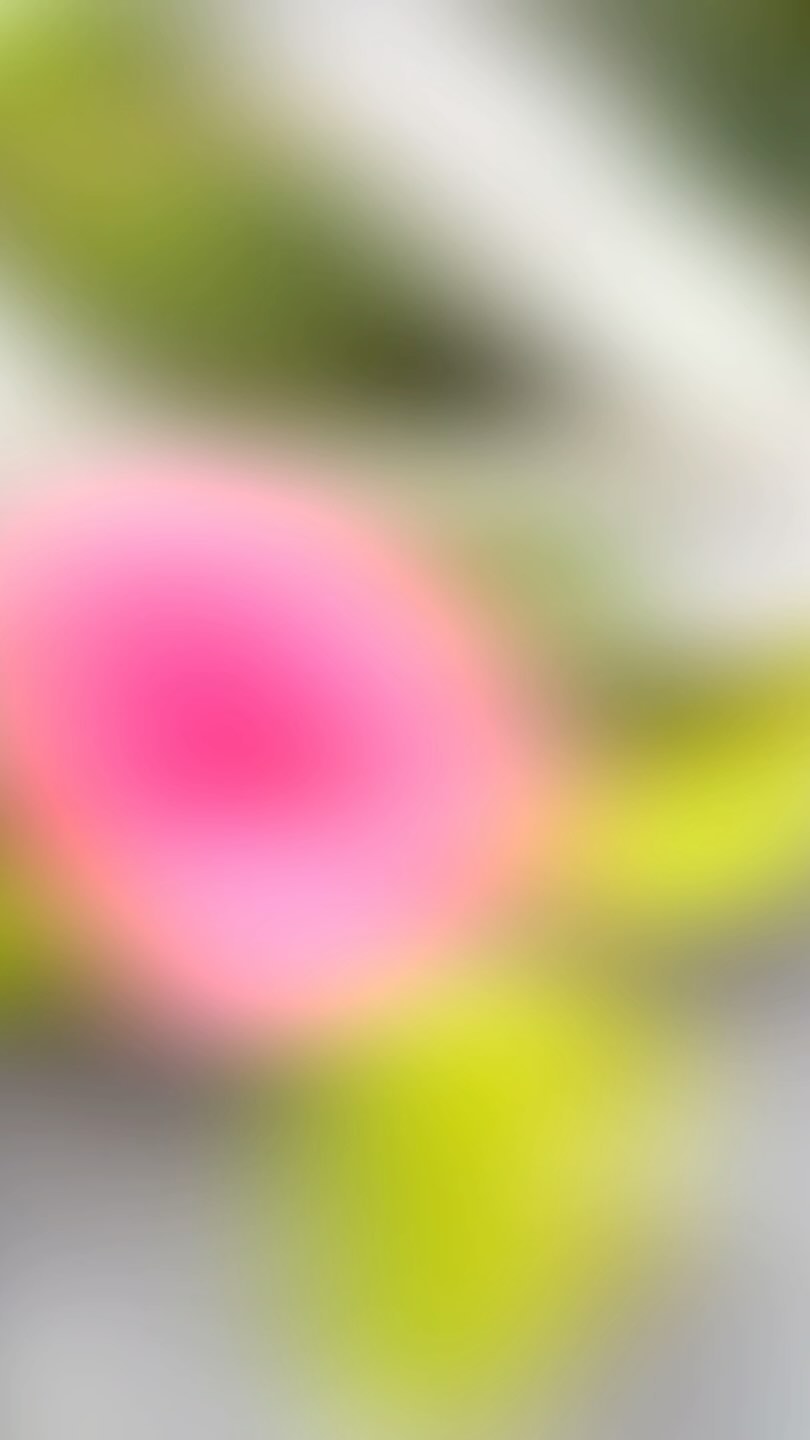 heath strolling magnificence
in wood, bark, lichen
in yellow & verdant green
in blue skies & waters
feels real good be holding one-to-ones here
with the centre of complimentary medicine
a little taster of some of its magic
do get in touch to explore more of yours 💫
link in bio for more info
#natureconnection #ecotherapy #ecopsychology #nature #wellbeing #mentalhealth #physicalhealth #petersfield #petersfieldheath #hampshire