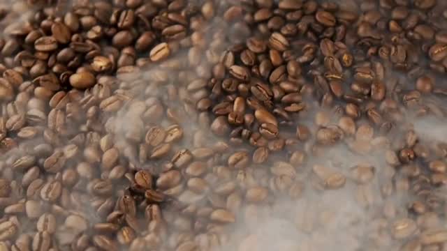 ☕️🌿 El origen de tu café
.
.
.
.
.
.
#chiapas #cafegourmet
