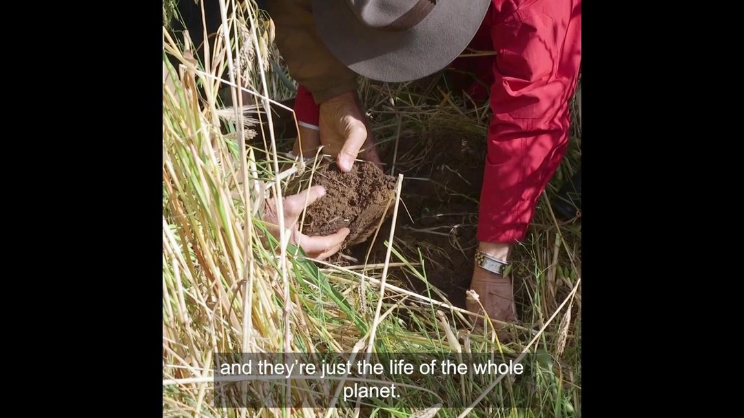 Join us to celebrate 2023 World Soil Day at the Online Premiere Screening of Thankful for Soil.
This 20 minute film celebrates how Australian farmers are using the soil beneath their feet to combat climate change, grow better food and build a brighter future for their family farms.
Register now to attend this FREE event on Tuesday December 5th, 7.00 pm – 8.00 pm AEDT. Link in bio.
Q&A with Farmers and Filmmaker following the screening.
Thankful for Soil has been proudly produced by Thankful4Farmers and Nviro Media
@nviromedia
@stephtrethewey @tage.ag @bokhara.plains @fat_pig_farm @rhonda_daly
@landcareaustralia @landcare_nsw @landcarevic @landcare_sa @landcare_tasmania @landcare_wa
@farmersforclimateaction @farmersfootprintaustralia
@nationalfarmer @australianfarmer
@saveful
@rabobankaustralia
#thankful4farmers #thankful #Farmers #Australianfarmers #Farming #Organic #Farm #Farmtoplate #australia #foodsecurity #sustainableagriculture #ausfreshproduce #australianag #netzero #climatechange #aussiefarmers