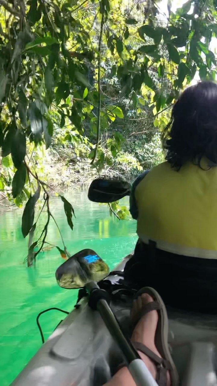 Stay at @mangiferahostel 🍃and explore Costa Rica’s 🇨🇷best places!
@laguna_riocuarto is the deepest lake of Costa Rica. Relax and explore this beauty kayaking or stand up paddling!
Combining an hour of kayaking at Rio Cuarto with a visit to one of the impressive waterfalls of Bajos del Toro is a great option for a day trip from our hostel. Read more in our blogs: www.mangiferahostel.org/blog
Quédate en @mangiferahostel 🍃y explora los mejores lugares de Costa Rica 🇨🇷 !
La laguna Rio Cuarto es la laguna más profunda de Costa Rica! Relájate y explórala haciendo kayak o SUP!
La combinación de 1 hora de kayak en Río Cuarto y visitar una de las impresionantes cataratas de Bajos del Toro es una buena opción para un tour de 1 día desde nuestro hostel. Lee más en nuestro sitio web: www.mangiferahostel.org/blog
#riocuarto #lagunariocuarto #bajosdeltoro #mangiferahostel #kayak #sup #standuppaddle #costaricacool #quebuenlugar #hikingtiquicia #explorecostarica #travelauthentic #offthebeatenpath #naturecostarica #vuelt