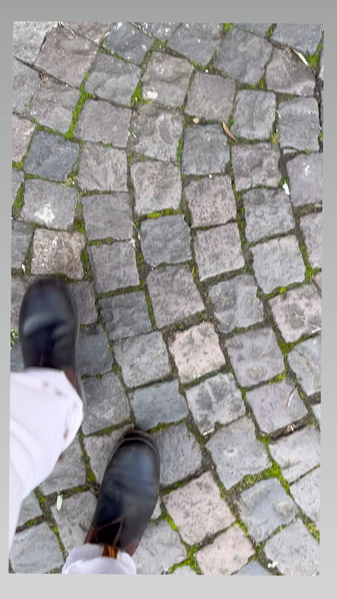 You’ll be dancing on the ceiling if your try the cracking selection of wines from @jonas_seckinger 🍾 💃🏻 Some of the most exciting Rizza and Chardy to come out of the #pfalz even #germany
#riesling #dancing #winetasting #chardonnay #germanwine #winetours #naturalwine #organicwine