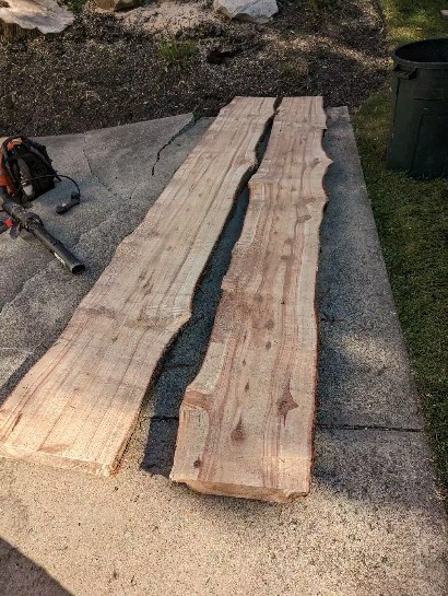 Dawn of redwood slabs