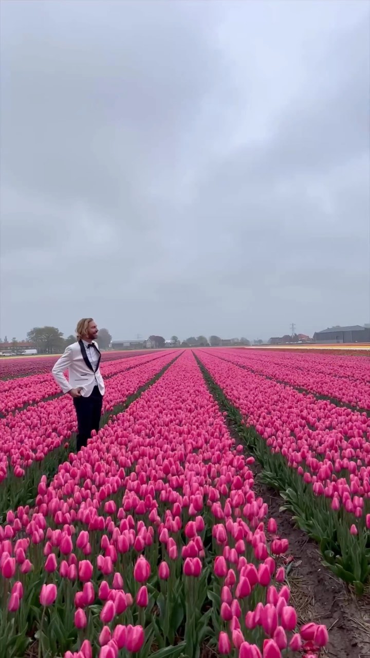 Recap of the last 5 weeks with 20 gigs, and some social life in between 🎉🥳