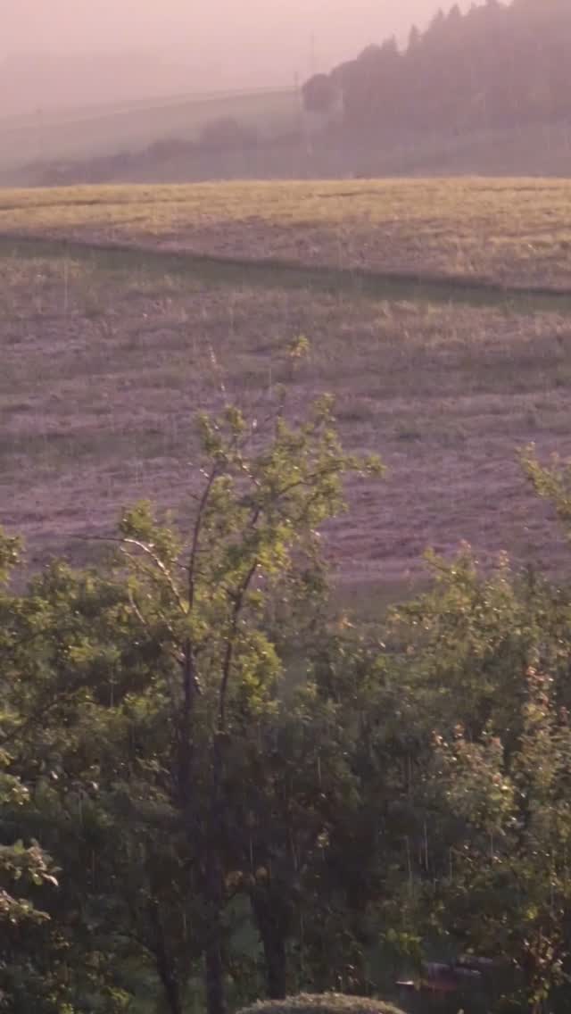 So unusual, the rain lightened by the sunset. Pure magic!
#tuscany #myhappyplace #magic #sunsetrain #purenature