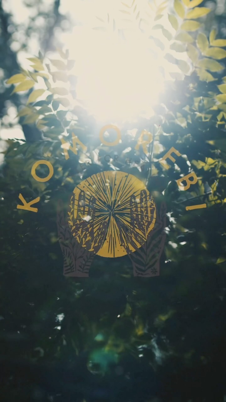 a new year 〰️
may we be flexible,
yet strong
may we find strength in our vulnerability
and persevere through our challenges
may we be guided by loving awareness
even on our darkest days
may we hold compassion
for those who are suffering
may we be free from mental slavery
and physical pain
may we always feel carried by water
and be warmed by the fire
may it always be so
🤲 komo
🎥 @viewhousefilms