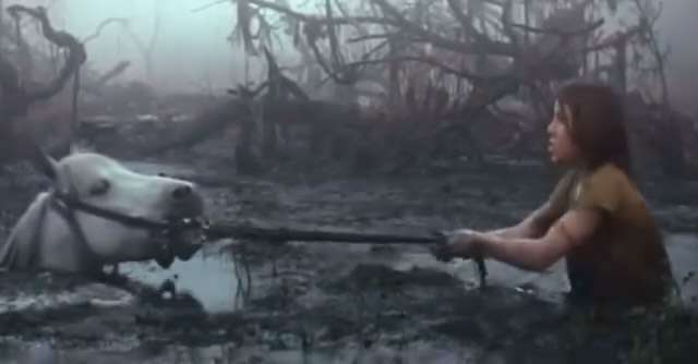 « Chacun sait que celui qui se laisse envahir par la mélancolie, sombre dans les marécages. »
Une histoire sans fin, 1984
.
.
.
#survivor #guerrier #lumiere #melancolie #tristesse #conscience #force #unehistoiresansfin #power #pouvoir #ressource