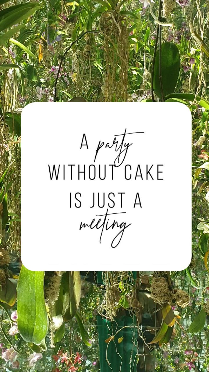 No cake? What is the point!? Celebrating the new season of "The Great British Bake Off" 🎂 On your marks, get set... bake!
.
.
.
#gbbo #gbbo23 #juliachild #juliachildquote #apartywithoutcakeisjustameeting